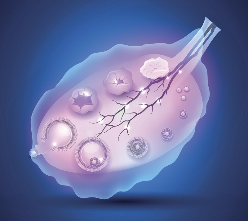 做试管婴儿选择短方案还是微刺激方案好？有什么区别？